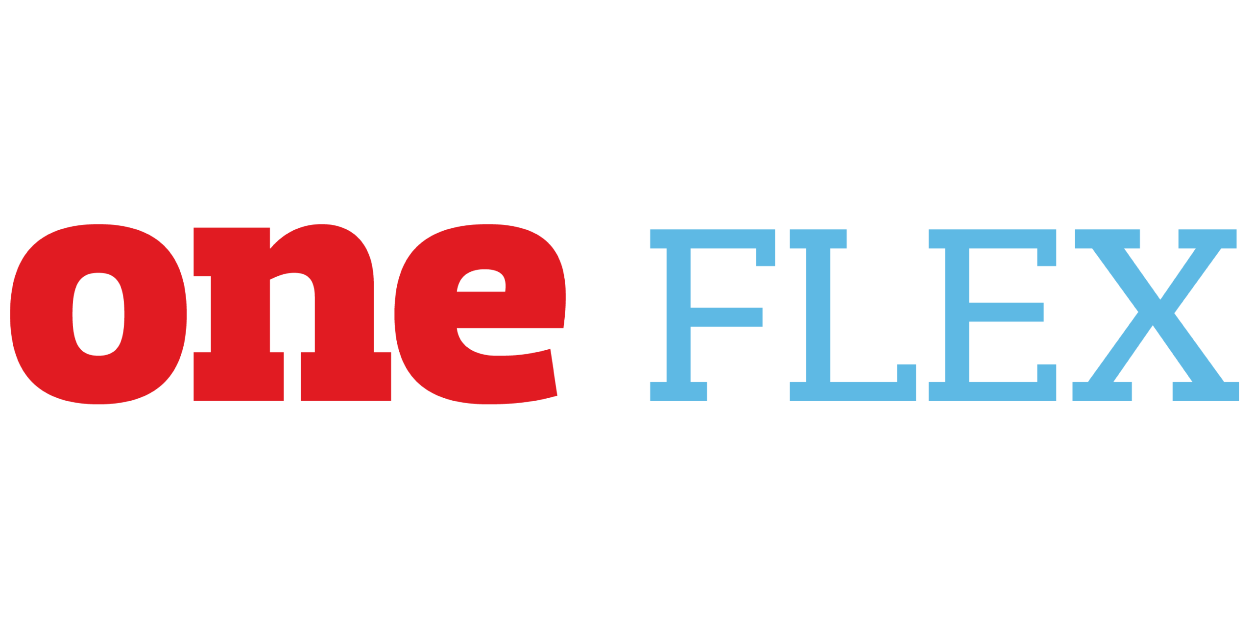 Logo_AON One Flex